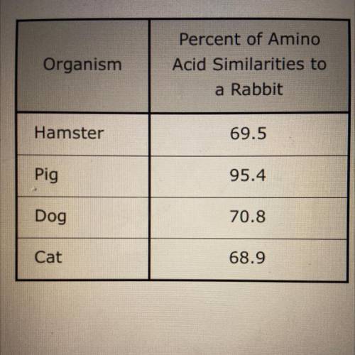 The data table shows the percentage of amino acid

similarities found in a protein for several org