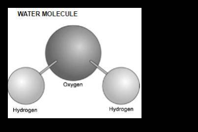 In science class, Carla made the model below.

What could Carla show about the real water molecule