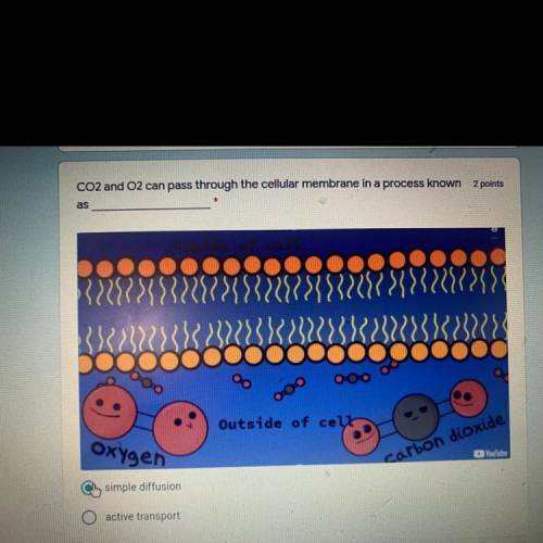 CO2 and O2 can pass through the cellular membrane in a process Know as _____

A: Simple diffusion
