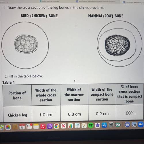 6. Which marrow was denser (had more mass in the given volume)? What impact would

that have on th