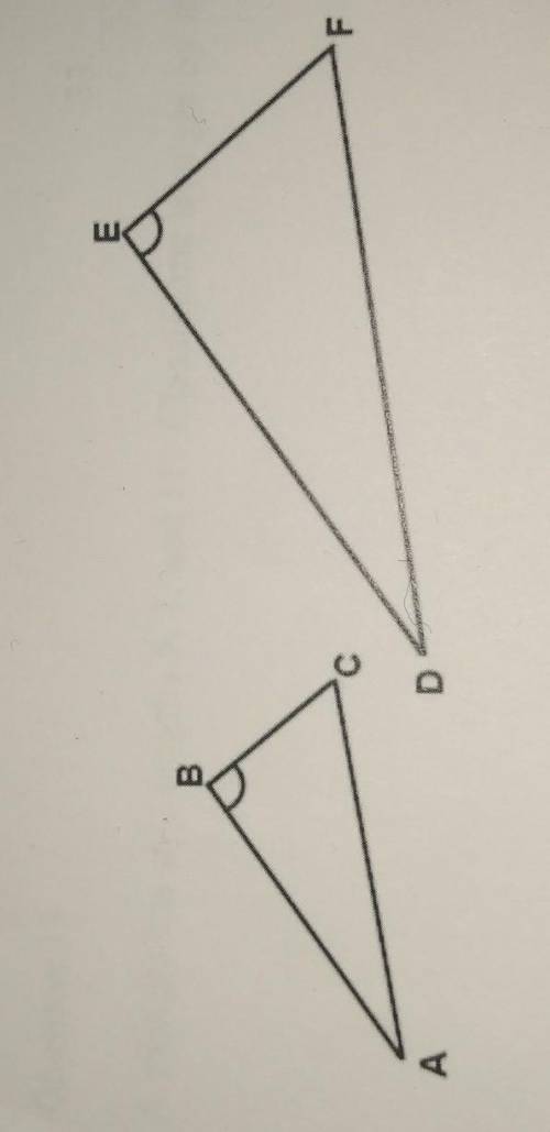 HELP PLEASE WILL GIVE BRAINLIEST

What information is needed to prove that the two triangles are s