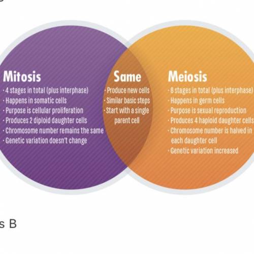 PLEASE HELP!!

Similarities and differences between mitosis and meiosis . You will write or type a