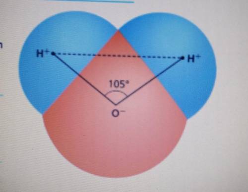Can someone please help me

The measure of the angle formed at the center of anoxygen atom in a wa
