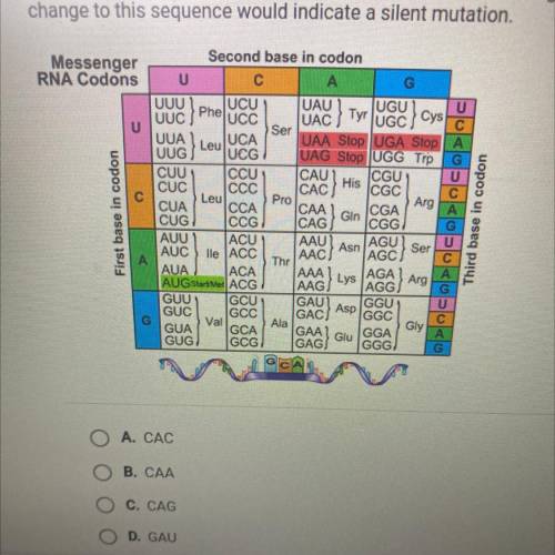 A part of an mRNA has the sequence CAU. Use the table below to figure out

which amino acid is cod