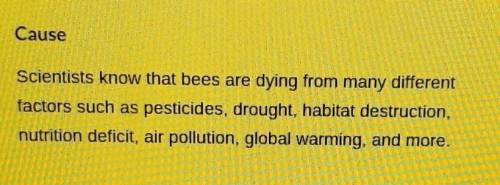Can you make this longer. The cause of the bee population to decline.