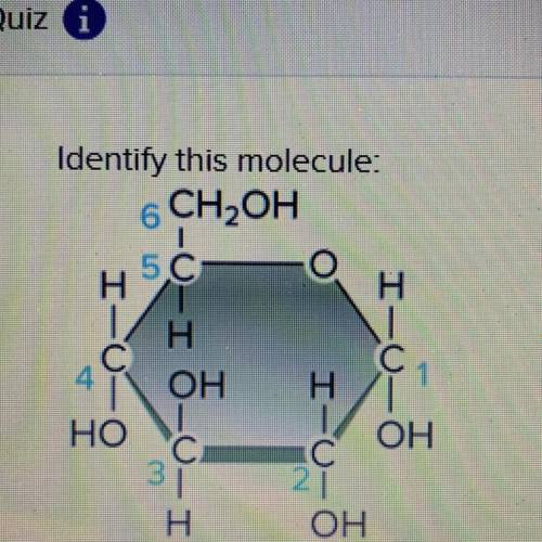 A)amino acid
b)hydrocarbon 
c)carbohydrate
d)alcohol
e)lipid