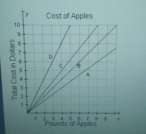 The lines on the graph below represent the cost of apples at four different stores. At which store