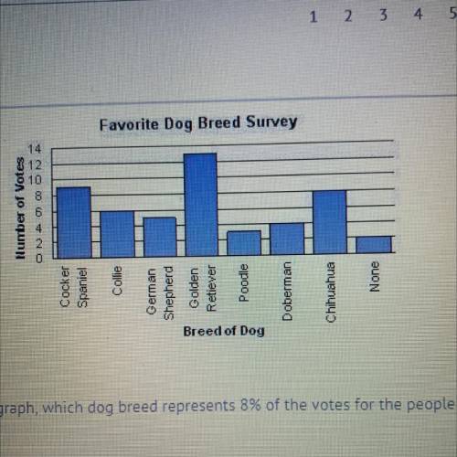 Given the data presented in the bar graph, which dog breed represents 8% of the votes for the peopl