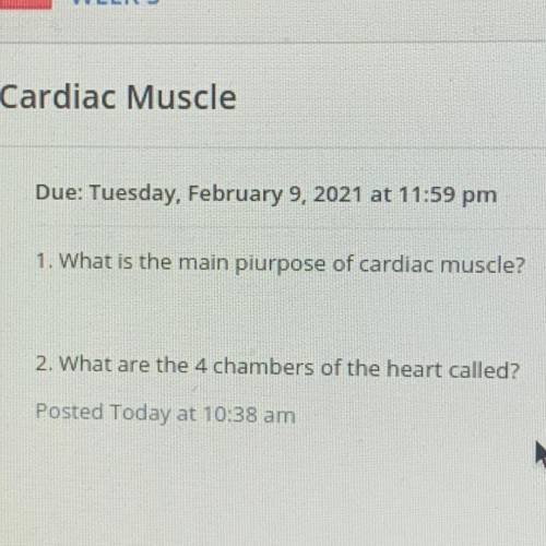 1. What is the main piurpose of cardiac muscle
2. What are the 4 chambers of the heart called