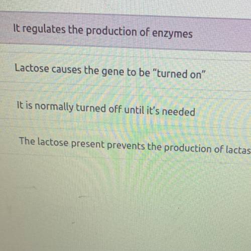 The Lac Operon is a set of genes that controls the production of lactase the enzyme that digests