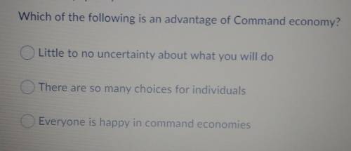 Which of the following is an advantage of Command economy? Little to no uncertainty about what you