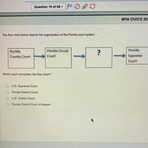 Help please,

 the flow chart below depicts the organization of the florida court system. 
florida