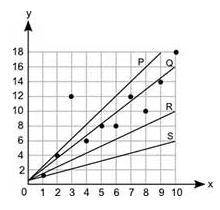 Which line best represents the line of best fit for this scatter plot? (5 points)

A) Line P 
B) L