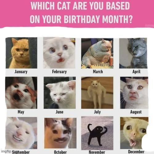 Does your birthday month corespond with you?