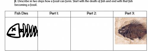 Describe in two steps how a fossil can form. Start with the death of fish and end with that fish be