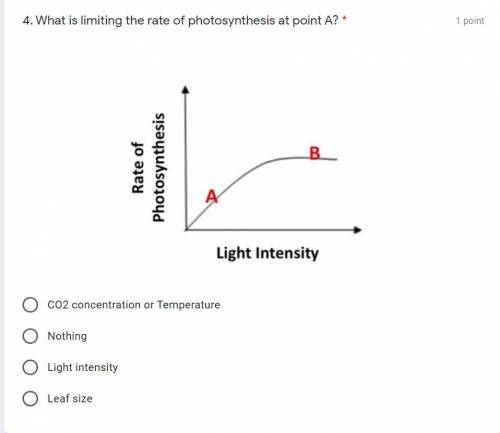 What is limiting the rate of photosynthesis at point A? 
please help me out