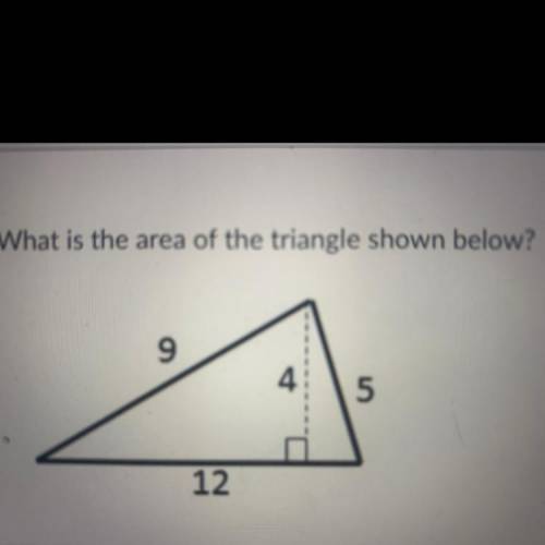 What’s the area of this triangle? 
Please help I need this ASAP!