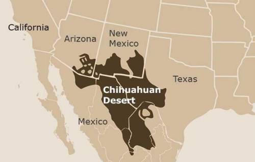 Which of the following states does not contain a part of the Chihuahuan desert?

A. Arkansas
B. Ari