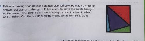11. Felipe is making triangles for a stained glass window. He made the design shown, but wants to c