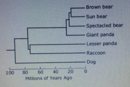 An analysis of DNA and RNA sequences can be used to classify organisms. A dendrogram, such as the o