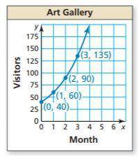 The graph represents the number y of visitors to a new art gallery after x months. First, write an