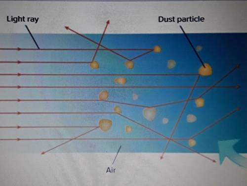 Describe the interaction of the light Ray's with the particles.​