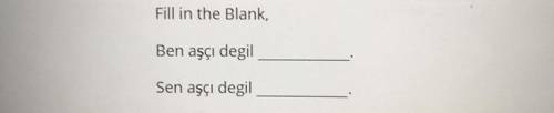 Turkish fill in blank negative verb