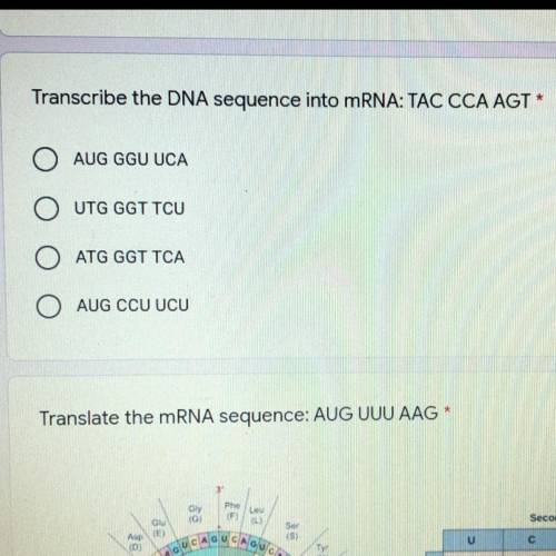 Transcribe the DNA sequence into mRNA: TAC CCA AGT 
PLESSE HELPPPP