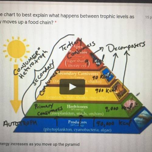 Use the chart to best explain what happens between trophic levels as

energy moves up a food chain