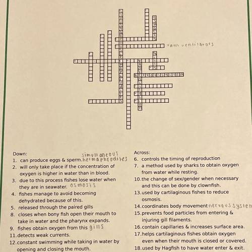 Crossword puzzle
SOMEONE PLEASE HELP ME!!!