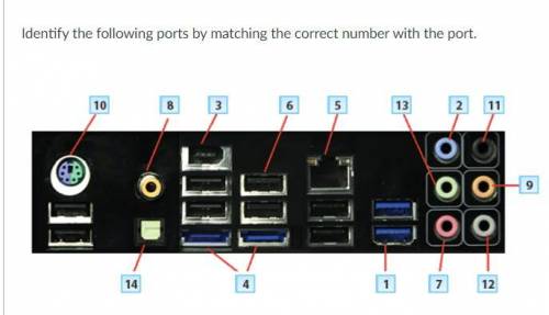 Identify the following ports by matching the correct number with the port.