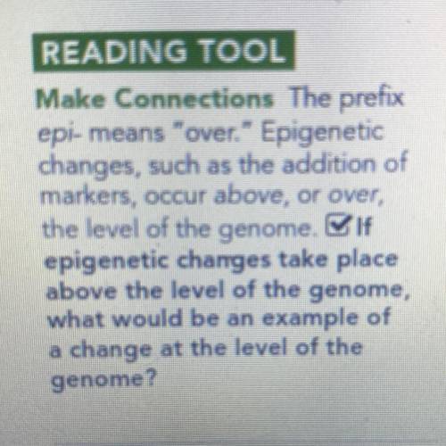if epigenetic changes take place above the level of the genome , what would be an example of a chan