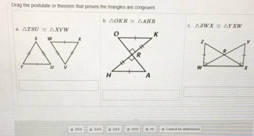 Drag the postulate or theorem that proves the triangles are congruent.
