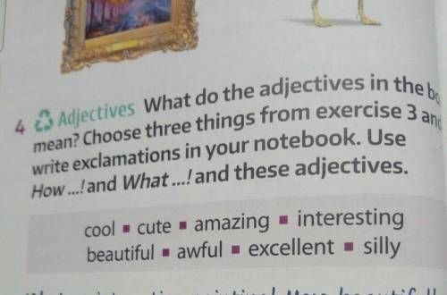 4. Adjectives What do the adjectives in the bo,

mean? Choose three things from exercise 3 andwrit