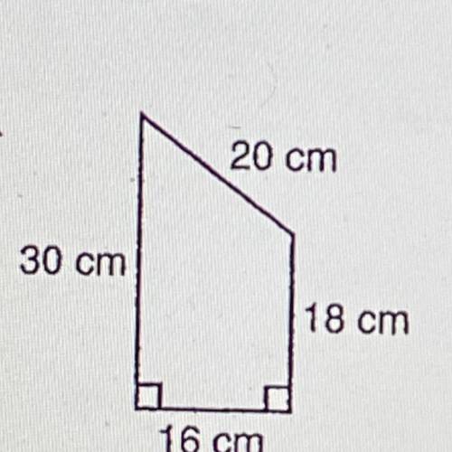 What is the base and height? What is the area?