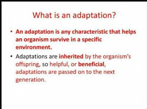Check Your Understanding
Question: What is an adaptation?