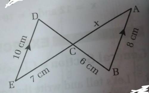 In the given figure, △CDE ~ △ABC. Find the value of x with suitable reasons.