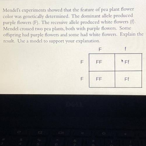 Can someone help me?

Mendel's experiments showed that the feature of pea plant flower
color was g
