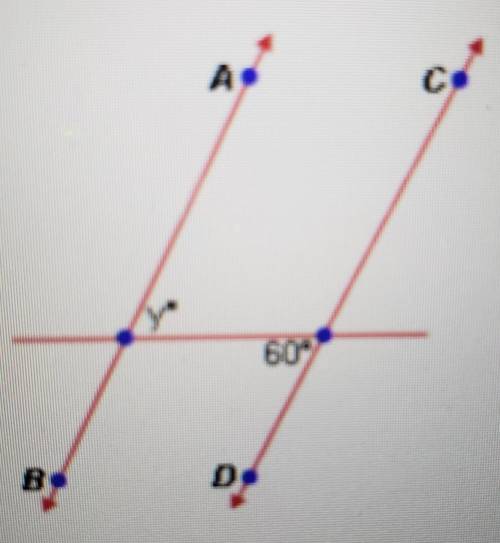 In the diagram below, AB is parallel to CD. what is the value if y?