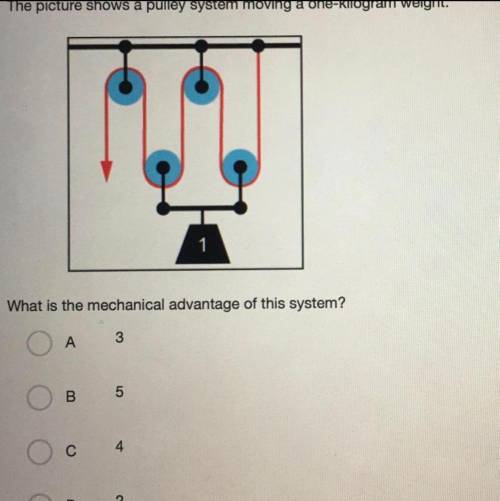Please helpppppp

The picture shows a pulley system moving a one kilogram weight what is the mecha