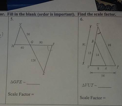 Help me find the scale factor​