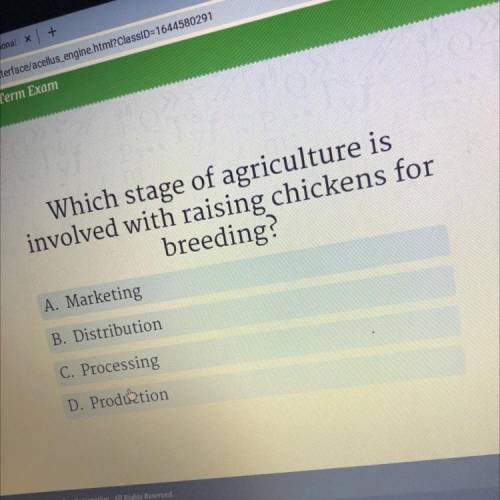 Which stage of agriculture is

involved with raising chickens for
breeding?
A. Marketing
B. Distri