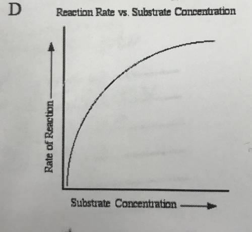 Explain why graph D levels off. Use enzyme and substrate in your explanation. Then tell how you cou