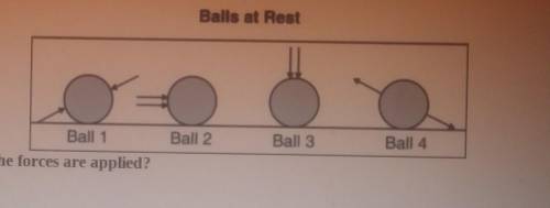 The arrows in the diagram below represent equal forces acting on balls that are resting on a table.