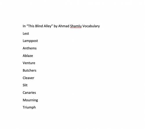 Vocabulary in the blind alley 
plz help