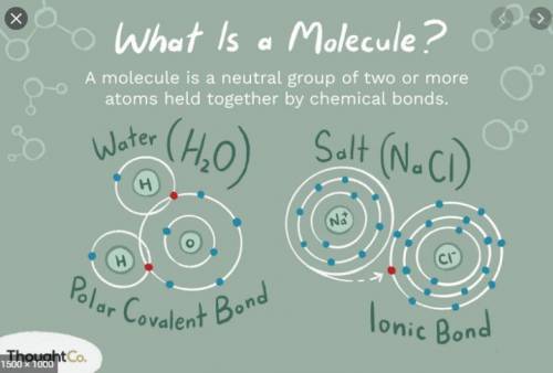 Which of the following is a molecule?
a)H20
b)O2
c)CO2
d)NaCI
e)MhCI2