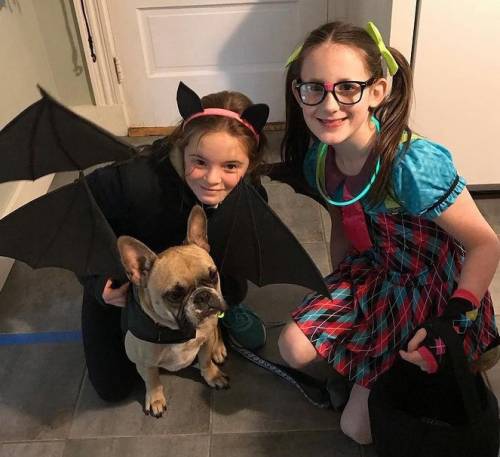 Rate mi my bestie and her dog a couple years ago for Halloween shes the bat 1-10 pls