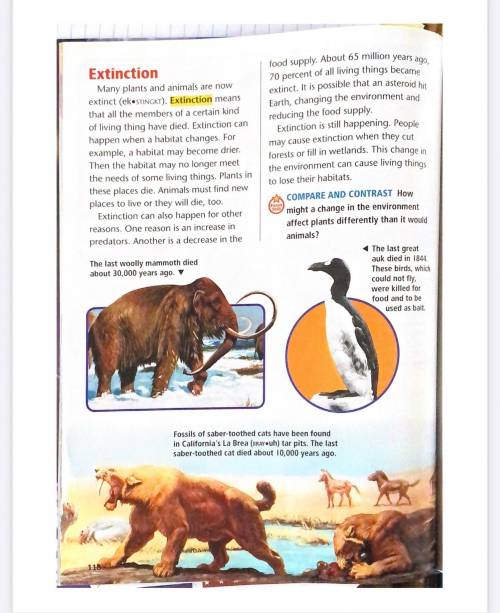 Take a close look at the animals on page 118. What do all the animals pictured have in common? How