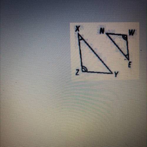 If the triangle are similar, write a similarity

I’ll give you a virtual hug if you answer this ri