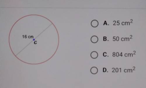 What is the approximate area of the circle below?​